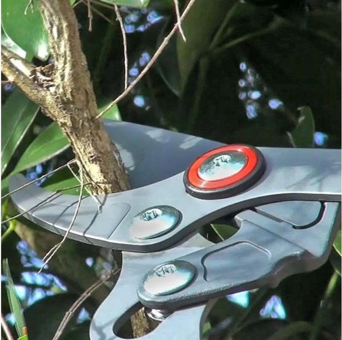 WOLF-Garten Takkenschaar POWER CUT RR*** 900 T - Lengte 650-900mm - Telescoop - Aluminium Hefboomarmen - 4x Meer Kracht - Messpanning Instelbaar - Afbeelding 7