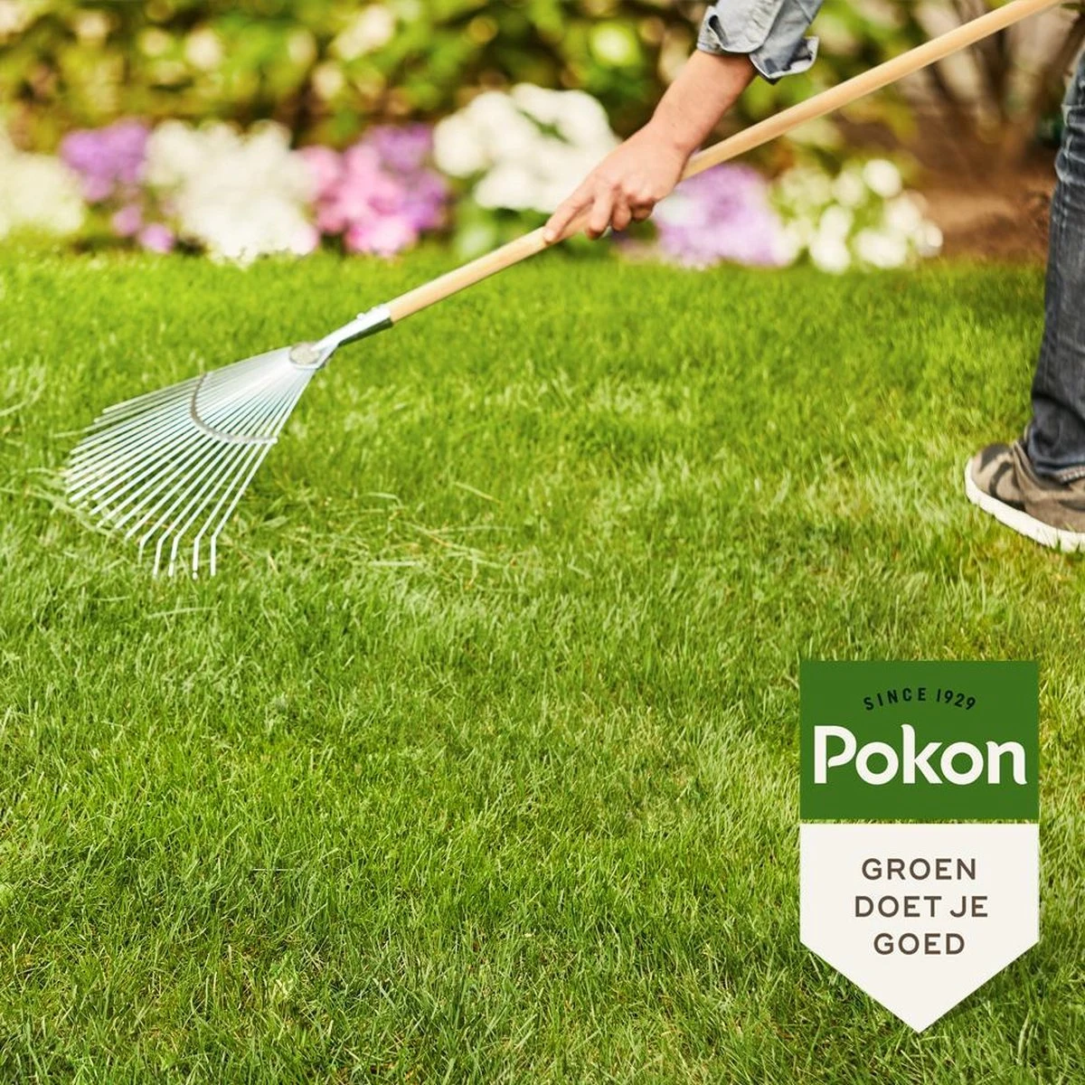 Pokon Gazonmest Met Kalk - 5kg - Mest - Geschikt Voor 75m² - 120 Dagen Voeding - Afbeelding 4