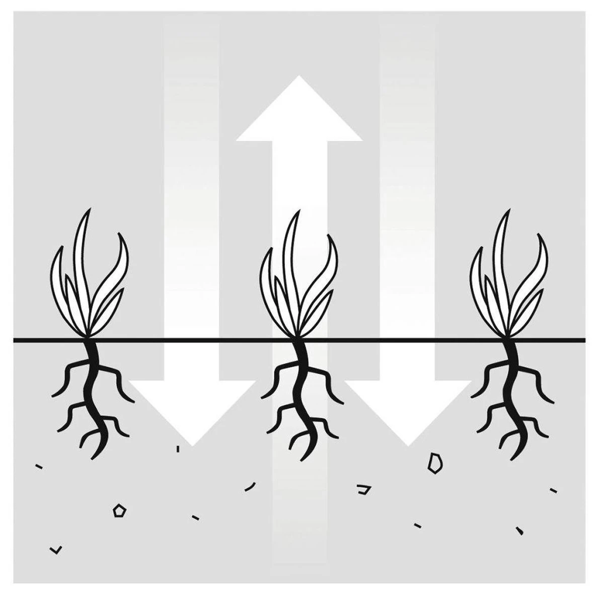 GARDENA EVC 1000 Verticuteermachine - Werkbreedte 30 Cm - Werkgebied 600m2 - Afbeelding 13