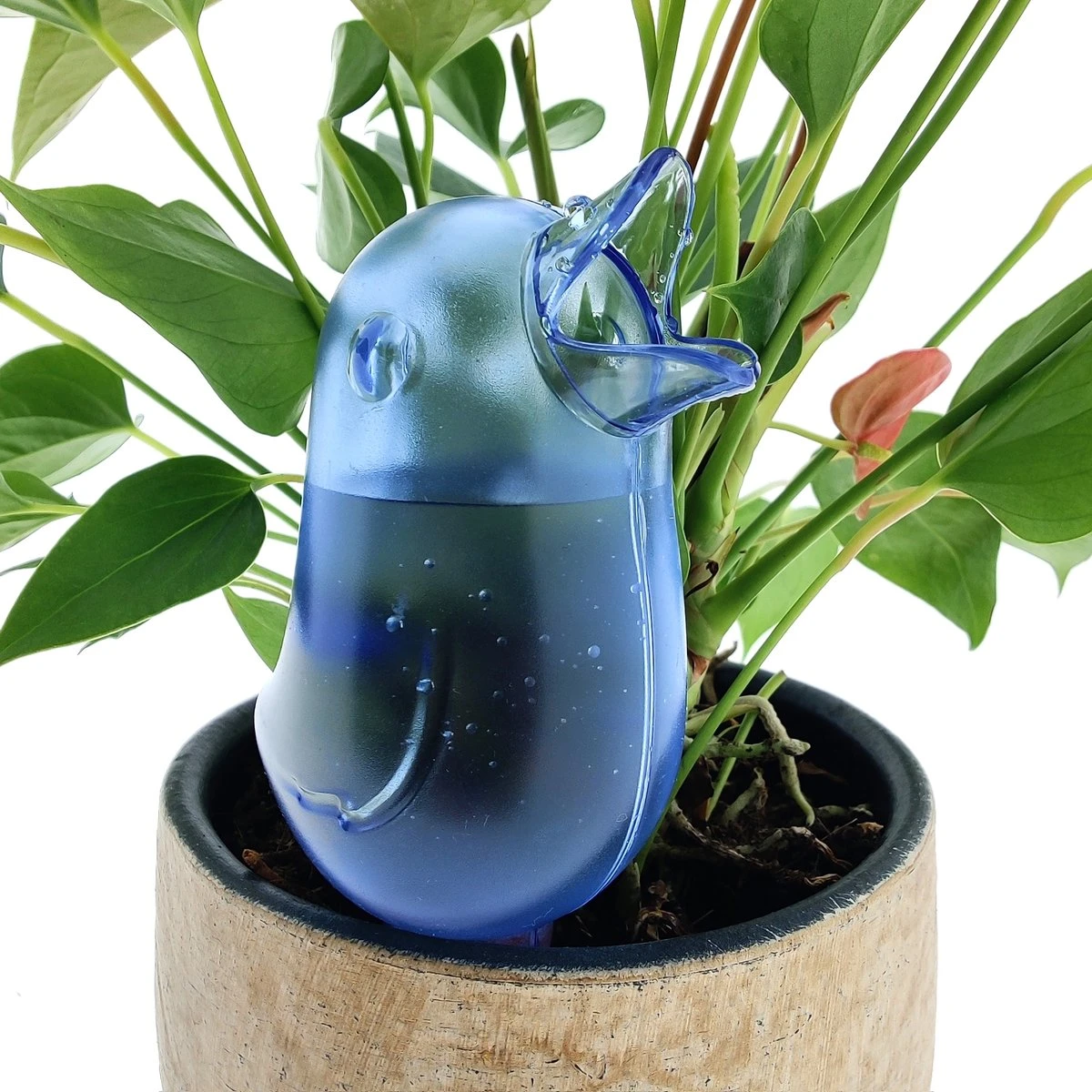 JS Drippy - Waterdruppelaars Set Van 2 Stuks - Druppelaar Vogel - Druppelsysteem Planten - Watergeefsysteem Kamerplanten - Waterbol - Blauw - Afbeelding 3