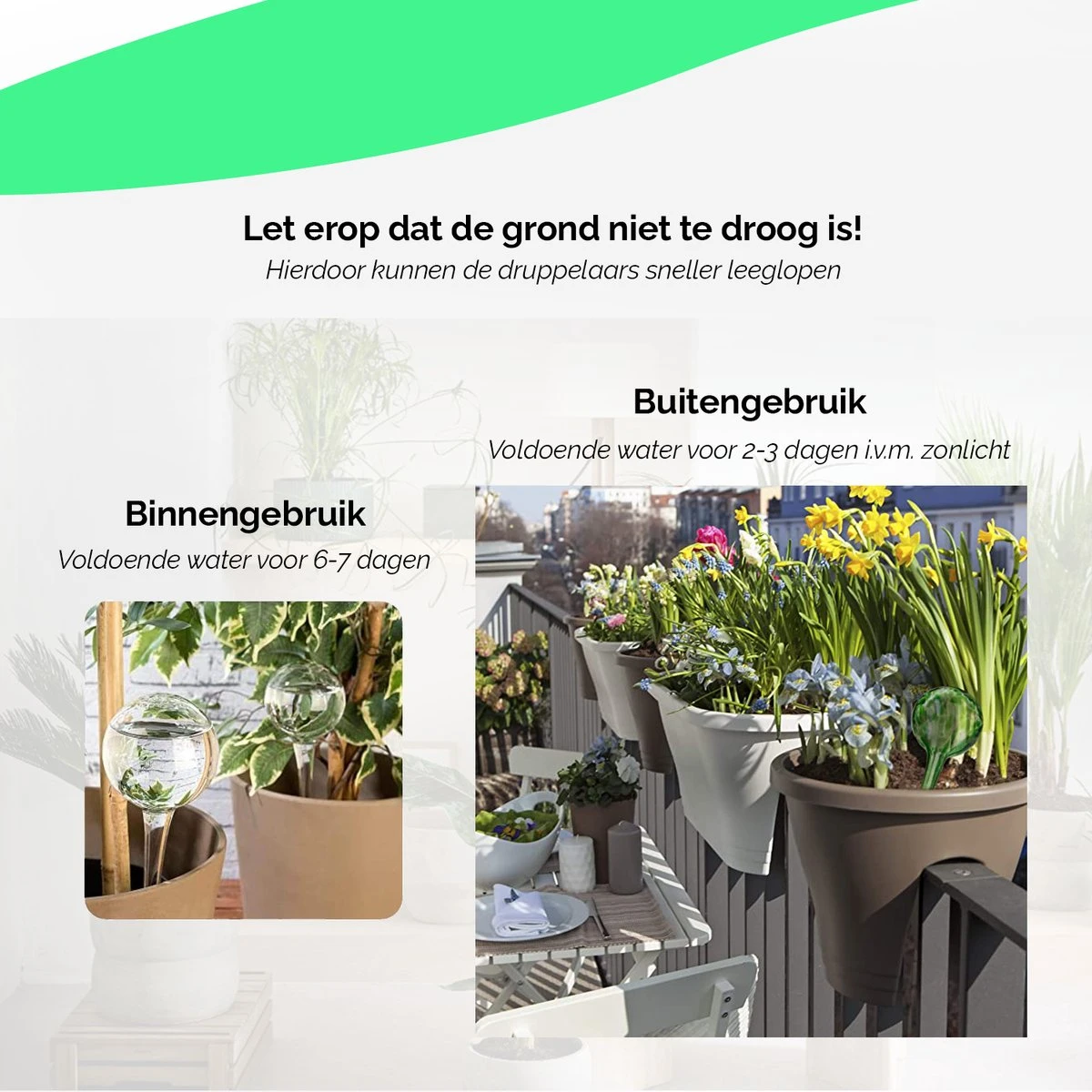 HGMD Waterdruppelaar Set Van 8 Stuks Voor Planten Transparant - Groen - Waterdruppelaar Voor Kamerplanten – Waterbol - Waterdruppelaar Voor Planten - Watergeefsysteem - Afbeelding 5