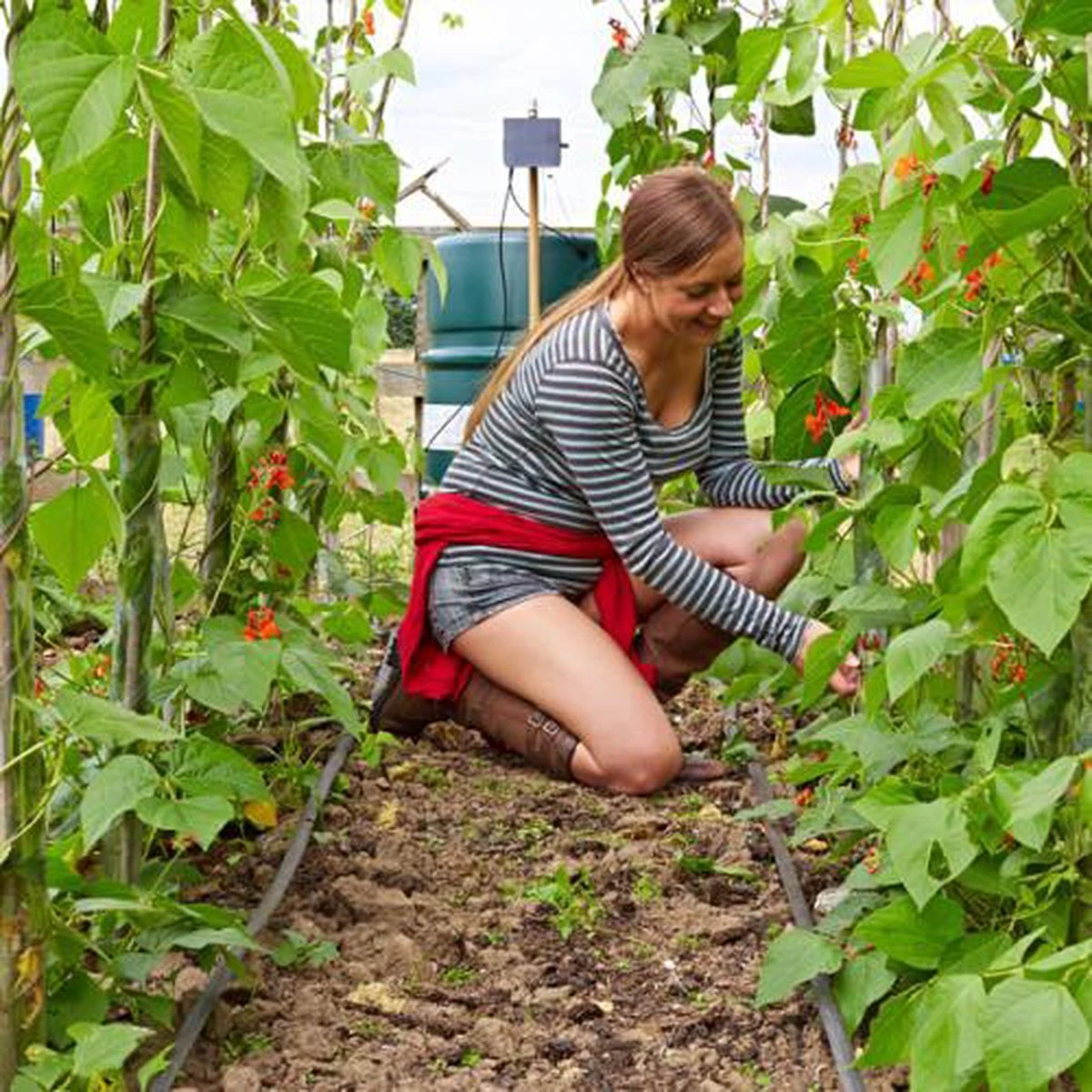 Irrigatia SOL-C24 Irrigatie Systeem Op Zonne-energie - Da's Slim Water Geven ! - Afbeelding 4