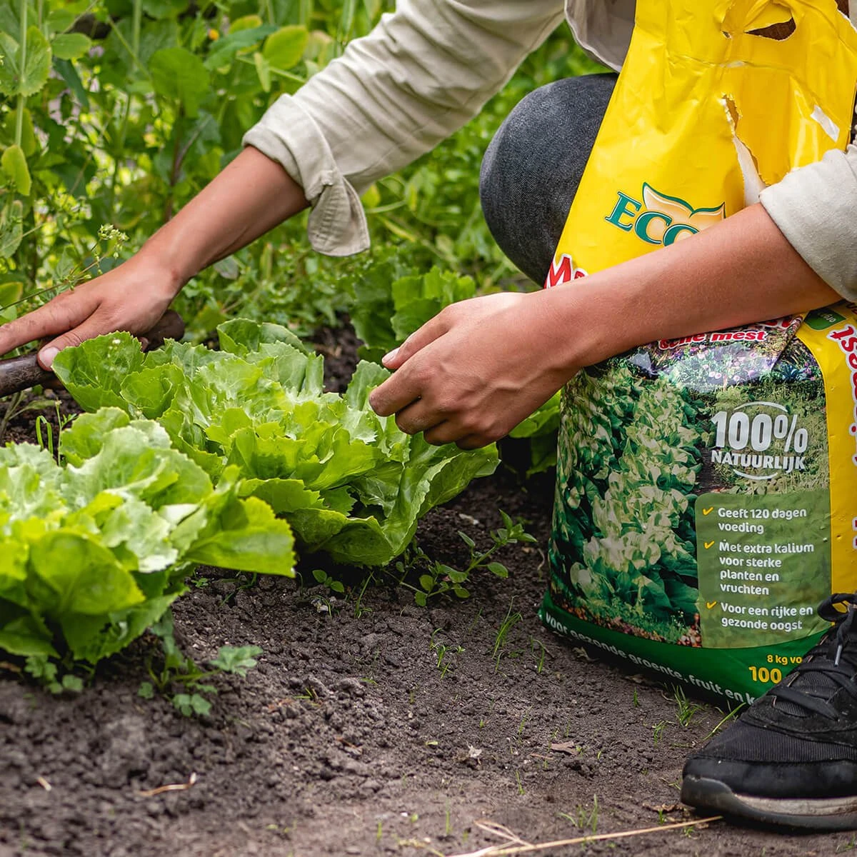 ECOStyle Moestuinmest Voor Eetbare Gewassen - Voor Fruit En Moestuin - Rijk Aan Kalium - 120 Dagen Voeding - 80 M² - 8 KG - Afbeelding 4