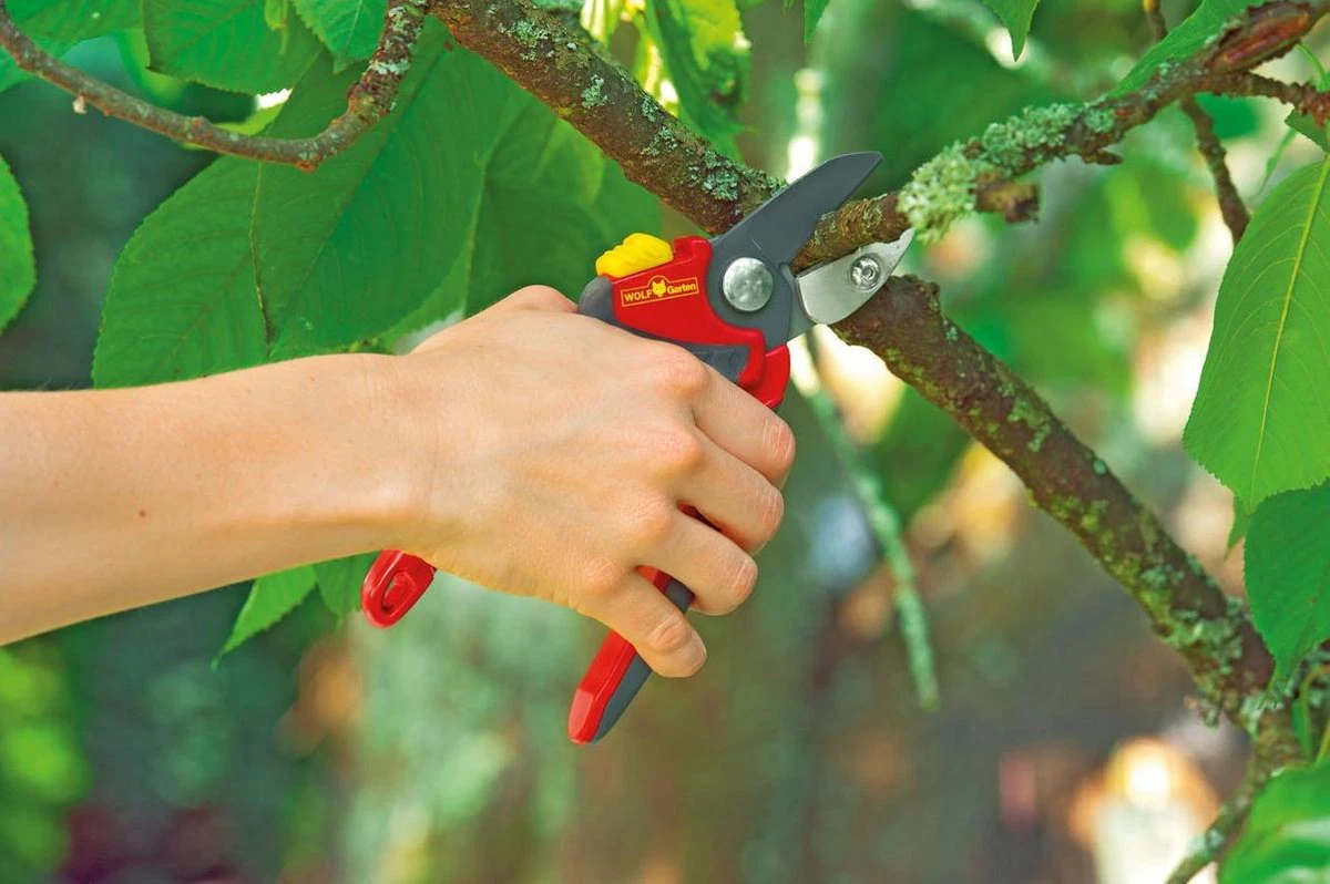 WOLF-Garten Snoeischaar "Premium Plus" RS 4000 - Aambeeld - Max. Knipdiameter 25 Mm - Links- En Rechtshandige - Softinleg Handgreep - Snijhoek 30° - Voor Grote Handen - Vervangbare Messen En Aambeeld - Afbeelding 5