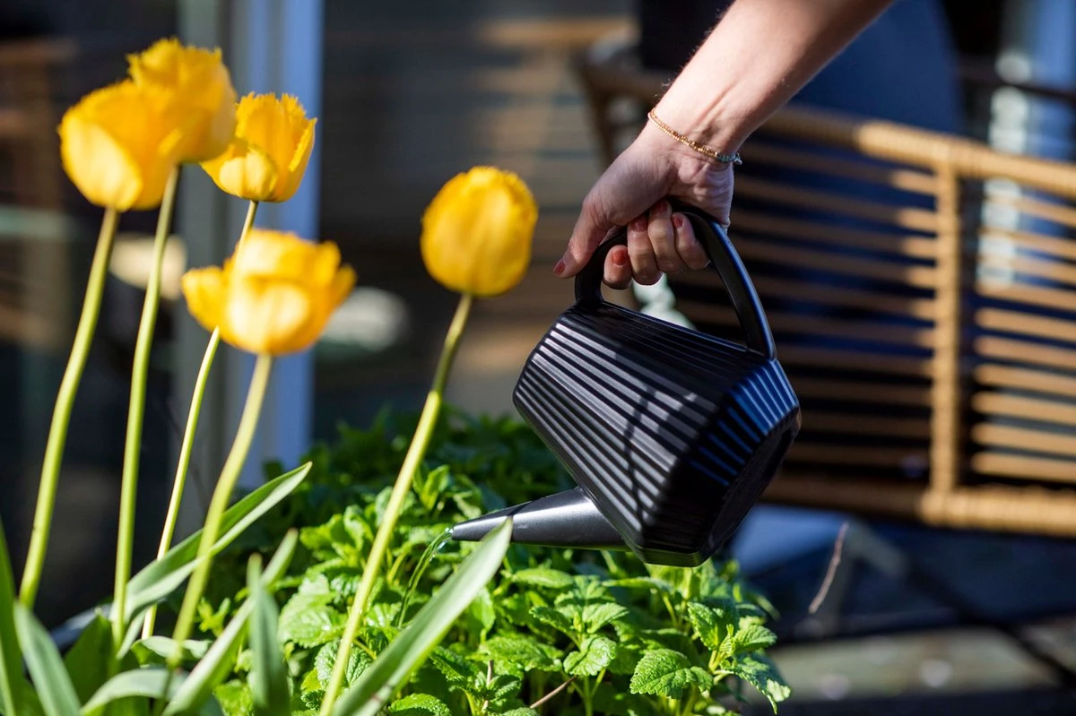 Xala - Gieter Doppio Groove 2L Olijfgrijs - Afbeelding 3