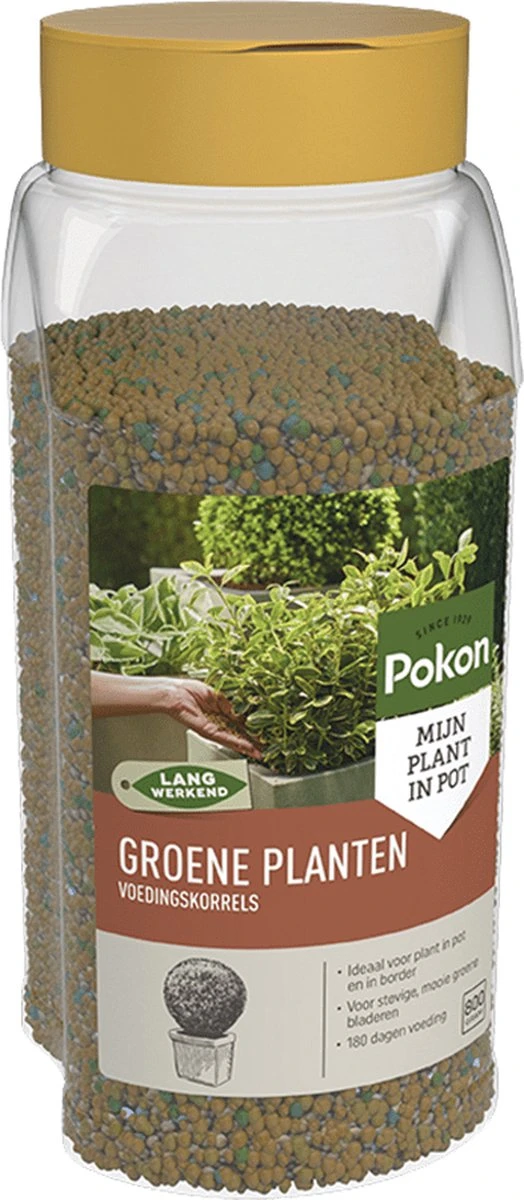 Pokon Voedingskorrels Voor Groene Planten - 800gr - 180 Dagen Voeding - Plantenvoeding - Afbeelding 6