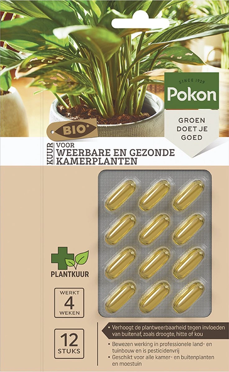 Pokon Bio Kuur Voor Weerbare En Gezonde Kamerplanten - Capsules - 12 Stuks - Geschikt Voor Alle Kamer-, Buitenplanten En Moestuin