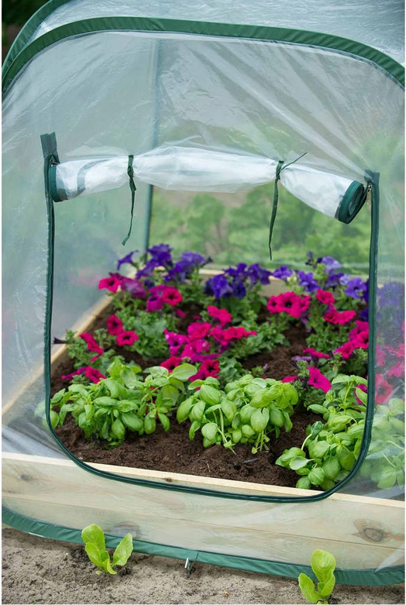 Nature - Tuinbroeikas Pop-up - 100 X 100 X 100cm - Vierkante Meter Tuin - Afbeelding 4