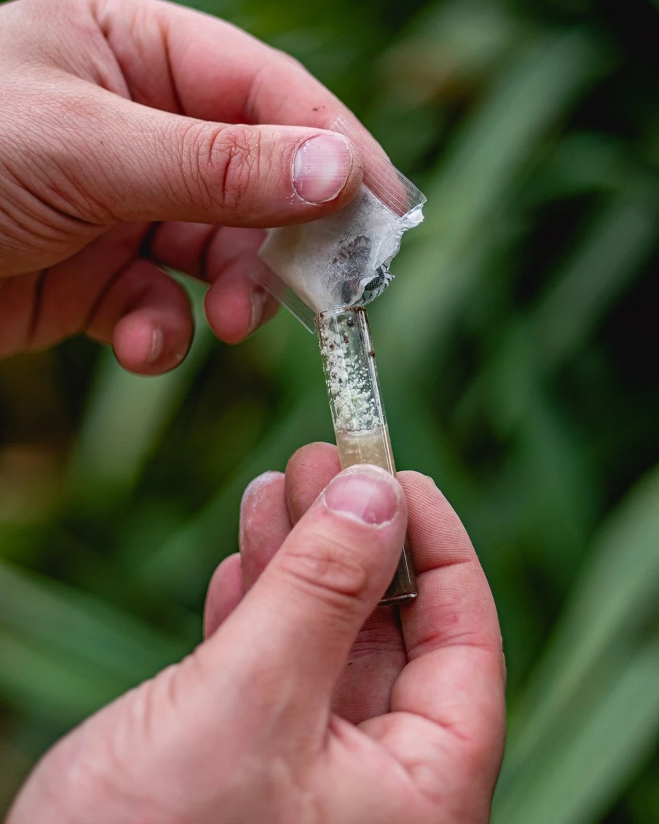 ECOstyle PH Bodemtest - Zuurtegraad Meter Voor Grond - Bepaal Kalk Behoefte Voor Tuin En Gazon - 8 Testen - Afbeelding 4